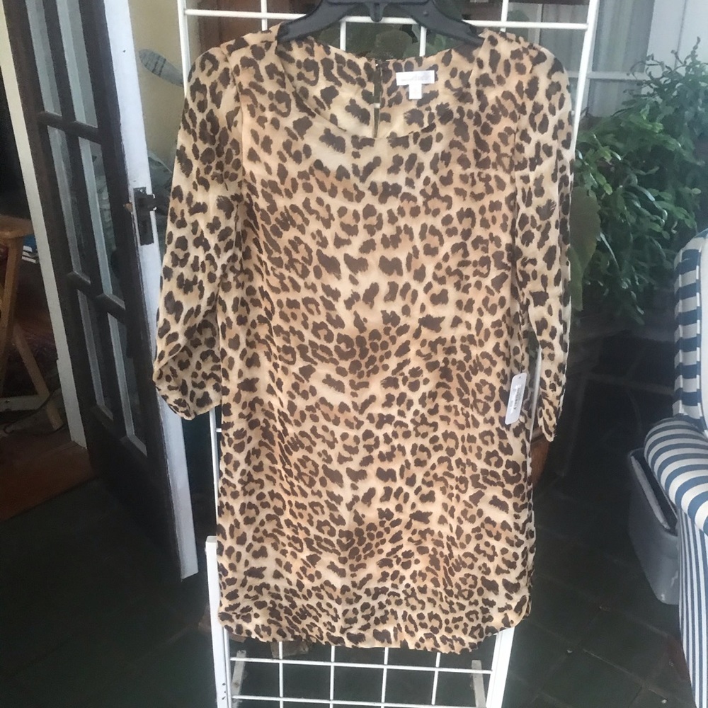 Animal print dress